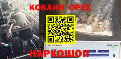 прущие грибы Можайск