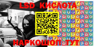 прущие грибы Можайск