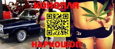 прущие грибы Можайск
