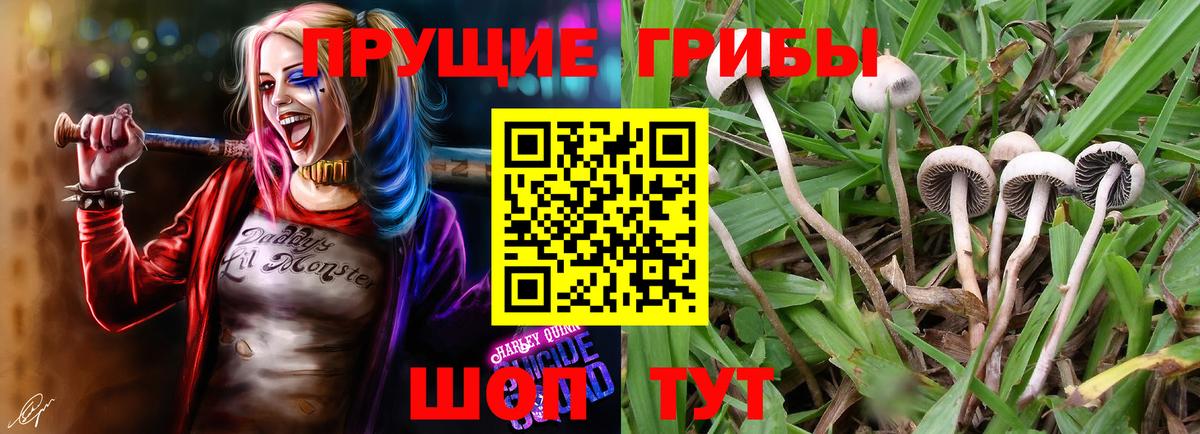 Галлюциногенные грибы мицелий Усолье-Сибирское