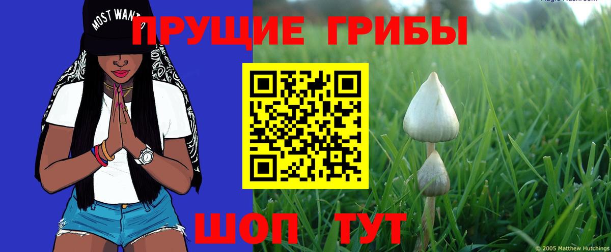 Галлюциногенные грибы ЛСД  Вход с VPN  Усолье-Сибирское  Галлюциногенные грибы Magic Shrooms 
